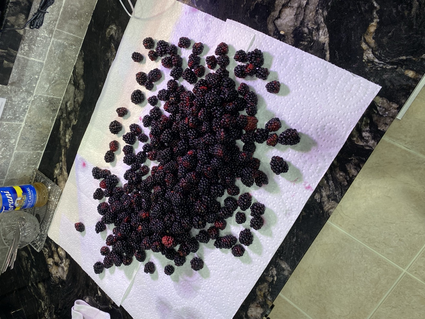 Blackberry harvest